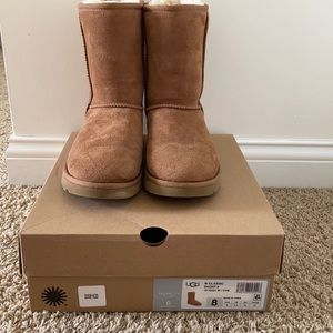 Classic short chestnut ugg boots